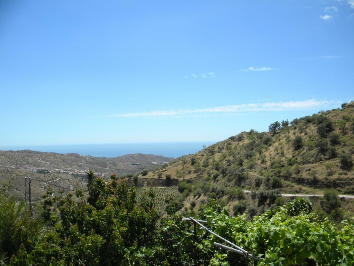 Moclinejo House Villa Malaga Luaran gambar